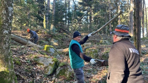 MC-Livradois-Trial-préparation-21-01-2026-1